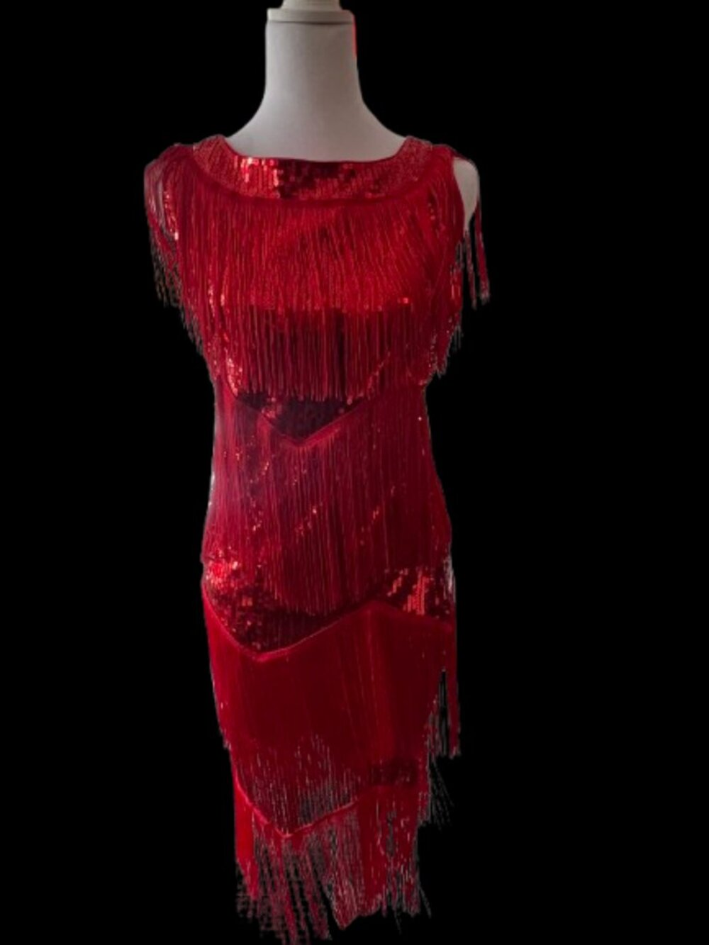 Red Fringe Latin Ballroom Dress